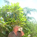 ���� ����, �����������, 71 ��� - ��������� 23 ����� 2024 � ������ ���� ����������