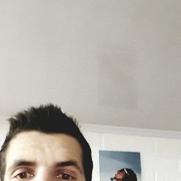Vasile, �������, 33 ����