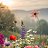 ���� �������, �����-���������, 77 ��� - ��������� 16 ������� 2026