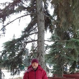 ����, 53 ����, ���