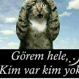 Akif, ���������, 49 ���