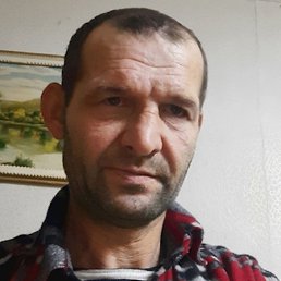 , 50 , 