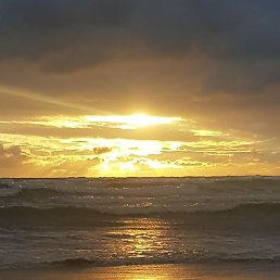 Alex, �����������, 59 ���