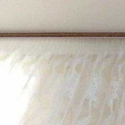 �����, ���, 74 ����