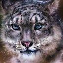 ���� �����, ���������, 64 ���� - ��������� 1 ����� 2024 � ������ ���� ����������