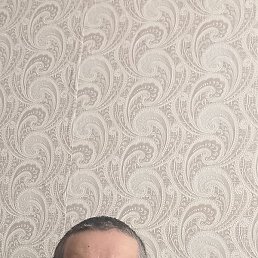 ������, �������, 55 ���