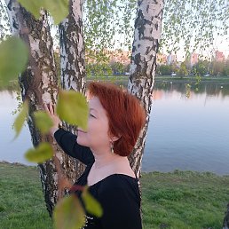 ���� �����, �����, 50 ��� - ��������� 13 ���� 2026