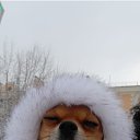 ���� ��������, ���������, 50 ��� - ��������� 16 ������ 2025 � ������ ������ ��������