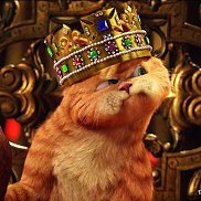 �����, 18 ���, ������