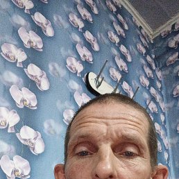 , 49 , 