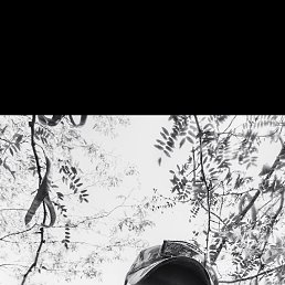 �������, 33 ����, �����