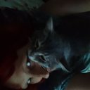 ���� ������, �������, 43 ���� - ��������� 24 ���� 2026 � ������ ���� ����������