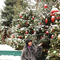 ������, ������, 62 ����