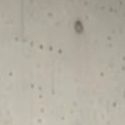 ������, 51 ���, ����