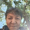 ���� Seliko, �������, 74 ���� - ��������� 6 ������ 2024 � ������ ������ ��������