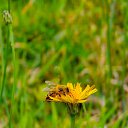 ���� Alpha, ������ - ��������� 21 �������� 2024 � ������ ��������� �����. �� �������� �������.�