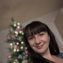 ���������, �����������, 40 ���