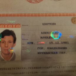 ���������, 44 ����, �����-���������