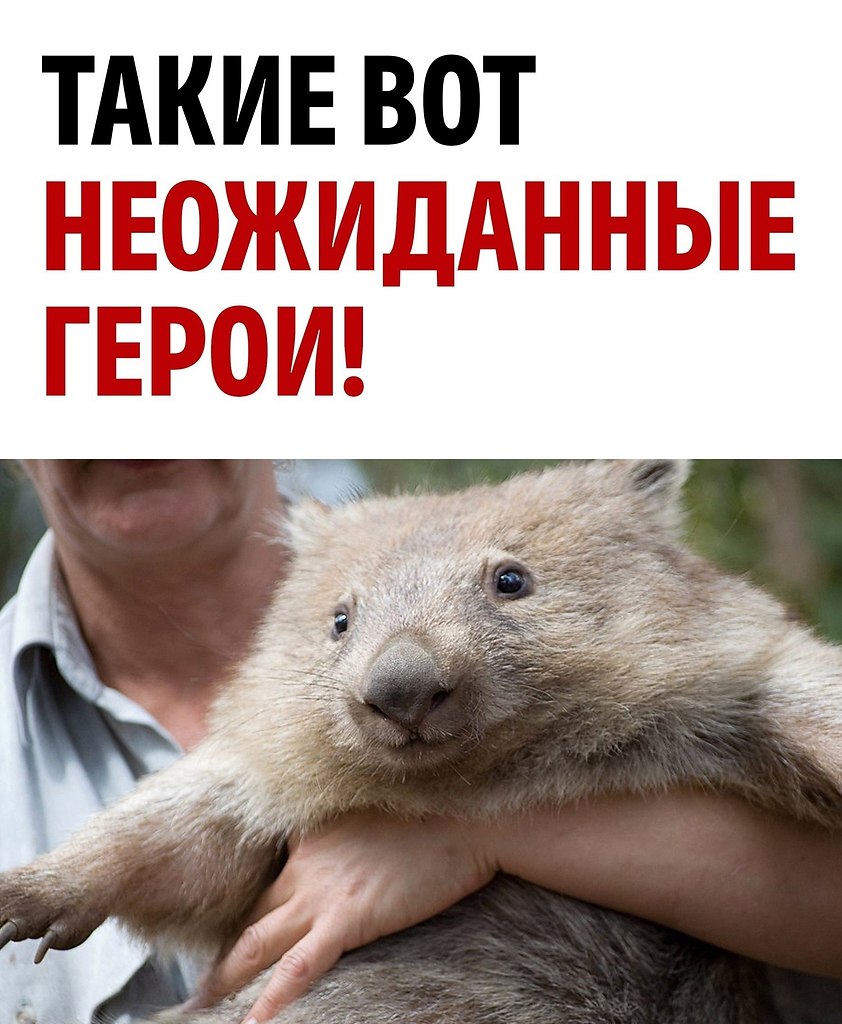        - 3
