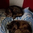 ���� Otari, �������, 53 ���� - ��������� 3 ���� 2024 � ������ ���� ����������