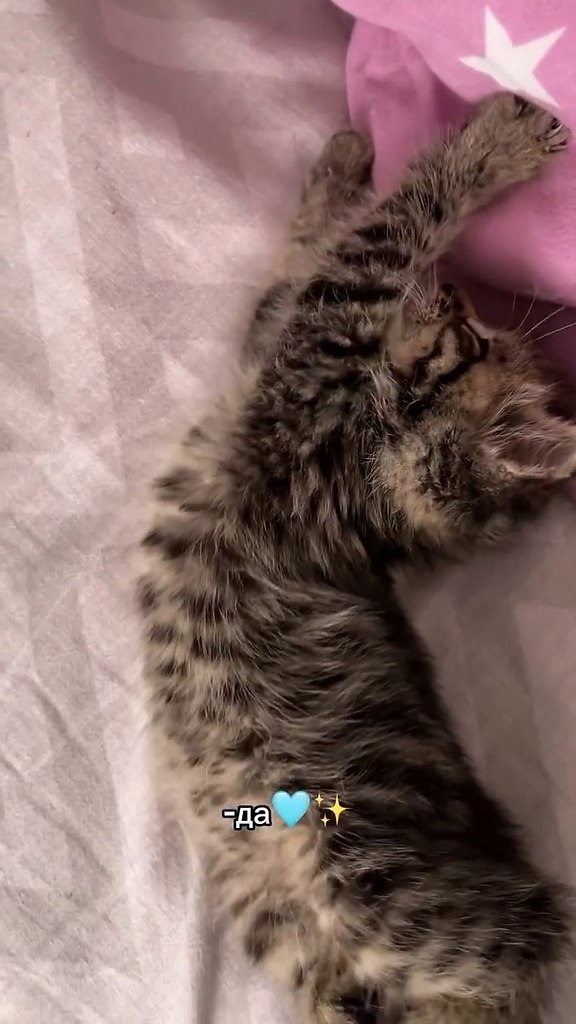 � � ��� ���� ���� �������� 