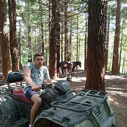 Forest, ������-��-����, 21 ���