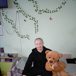 ������ �����, 37 ���, ����