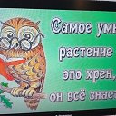 ���� �� ���� ����..., ������������ - ��������� 13 ������� 2026 � ������ ���� ����������