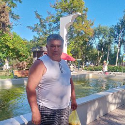 , 52 , 