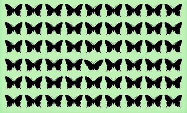 ����� ������� ���������� �� ������? #����@velikieslova