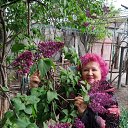 ���� *Tatiana*, ������������ - ��������� 1 ��� 2026 � ������ ���� ����������