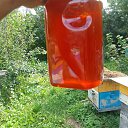���� ������, �����, 47 ��� - ��������� 6 ������� 2024