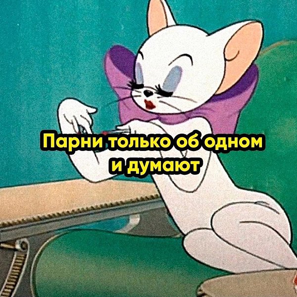 . - 24  2025  20:39