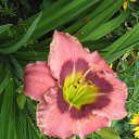 ���� �����, �������, 54 ���� - ��������� 4 ���� 2025 � ������ �����