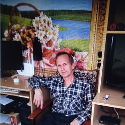 , 65, 