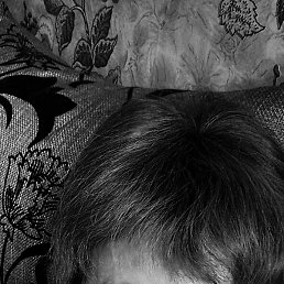 �����, ������, 51 ���