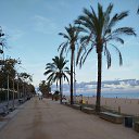 ���� ��������, ������ - ��������� 6 ������ 2025 � ������ ���� ����������