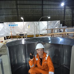 �������, 29 ���, ����-���������