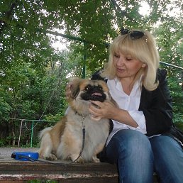 �����, ���, 65 ���