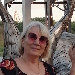 , 65, 