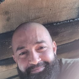 , 37, 