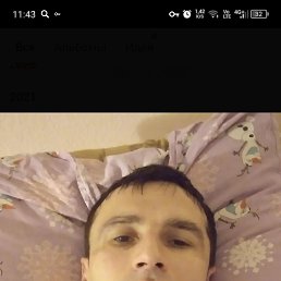 , 37, 