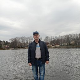, 61, 