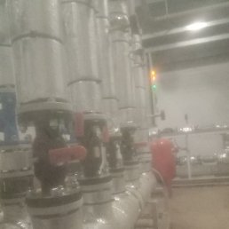 ���������, ������, 36 ���