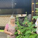 ���� �����, �����������, 66 ��� - ��������� 1 ������ 2023 � ������ ���� ����������