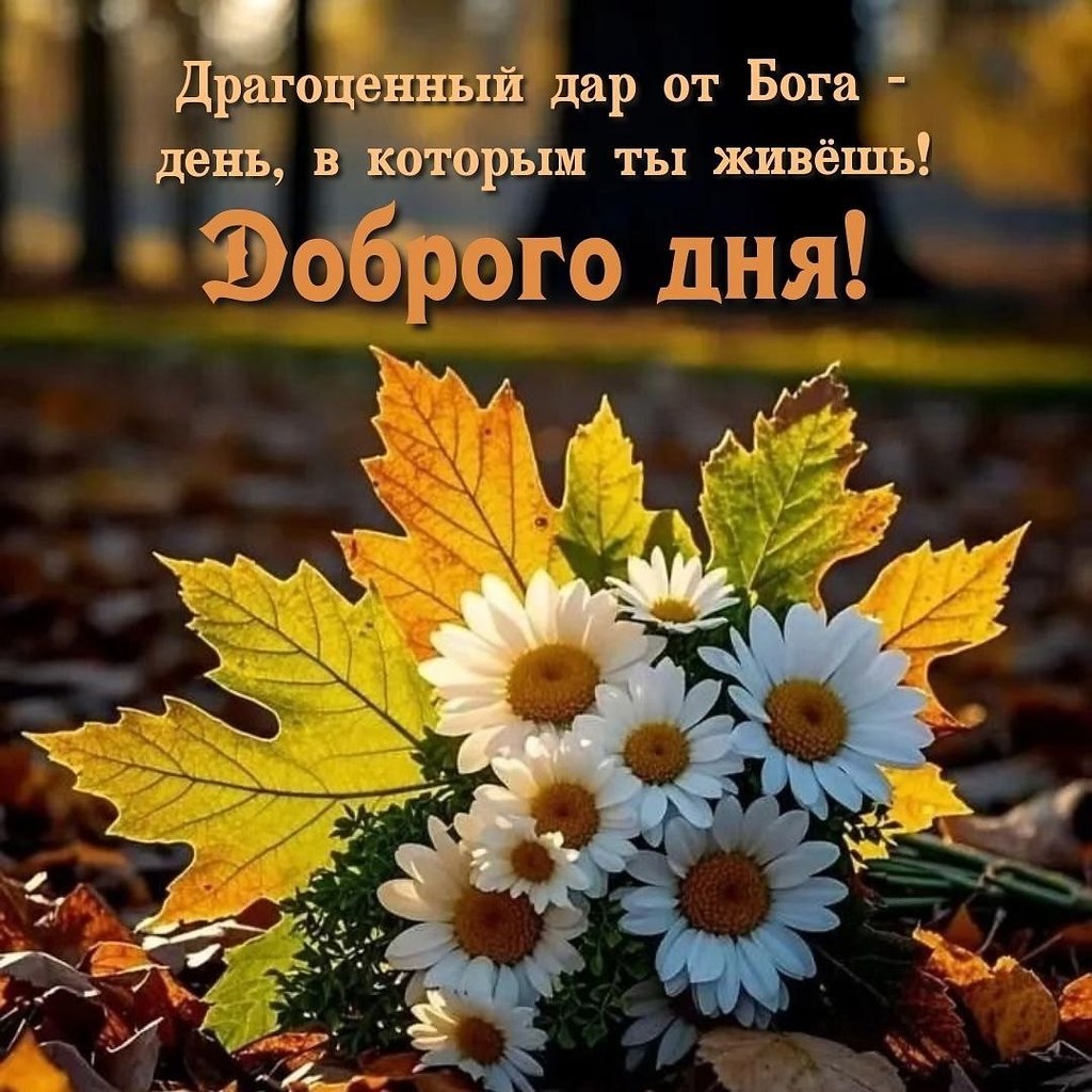   ,    . - 17  2025  12:22