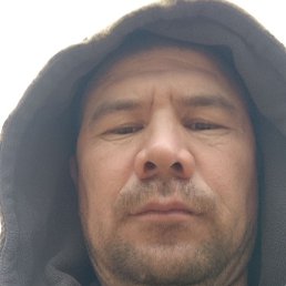 ����, ������, 39 ���