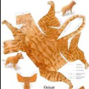 ���� Timur, �������, 26 ��� - ��������� 29 ��� 2025 � ������ ���� ����������