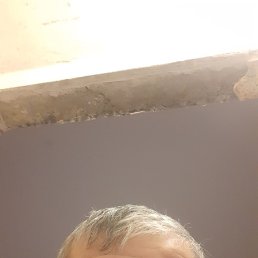 Muratmolot, 42, 