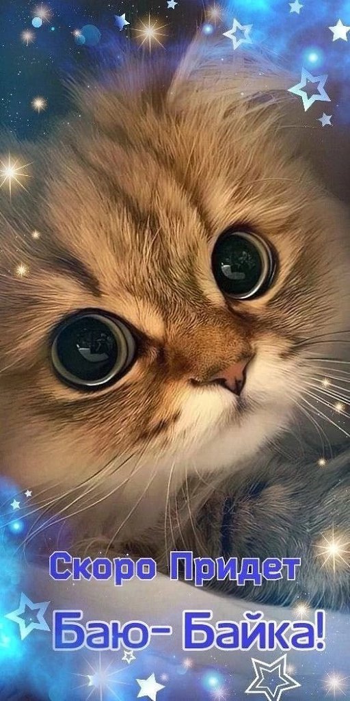 ��� ���� - 19 ������� 2025 � 20:53